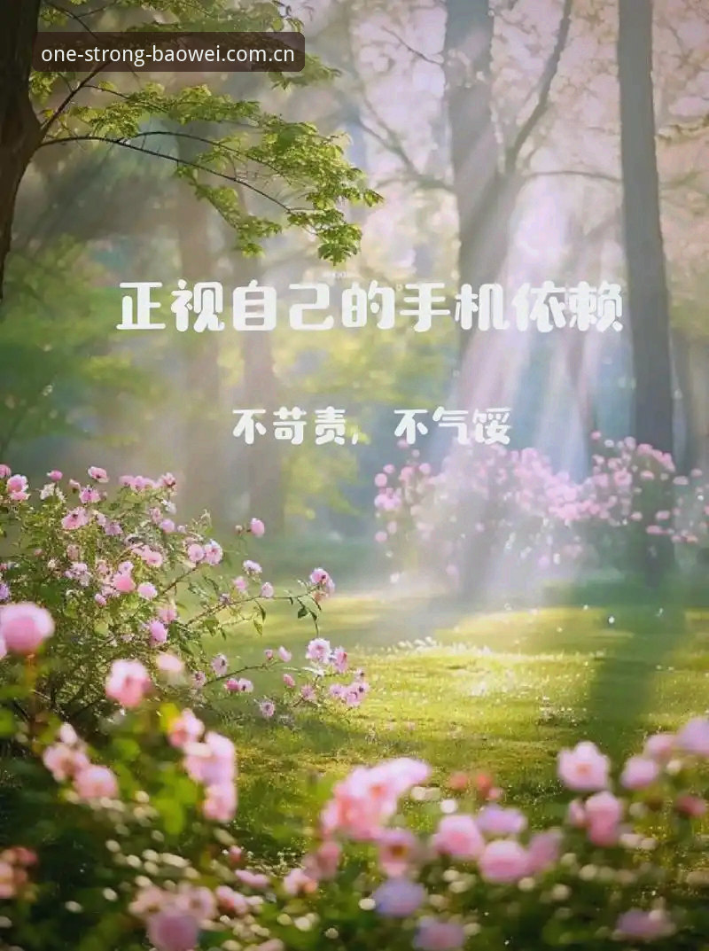 宝威体育平台全功能评测：一个数据依赖型用户眼中的真实体验